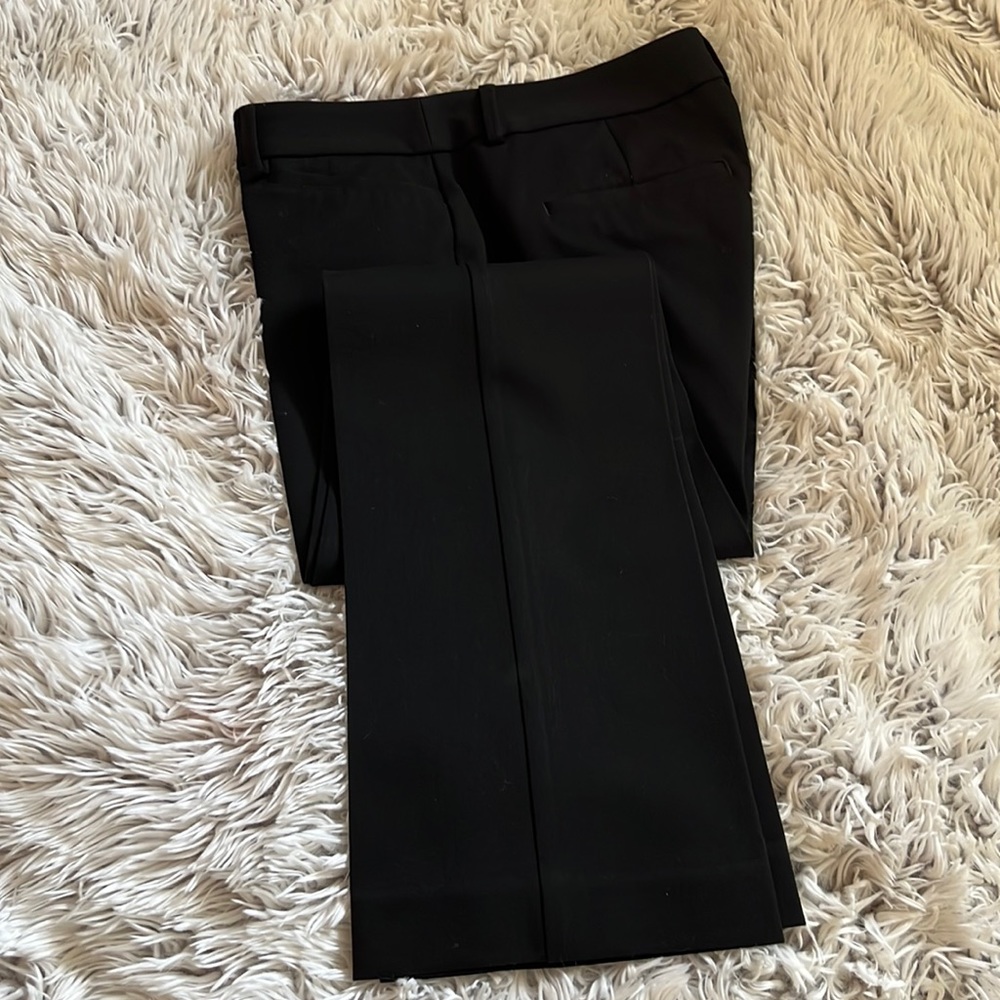 Express Columnist Pants